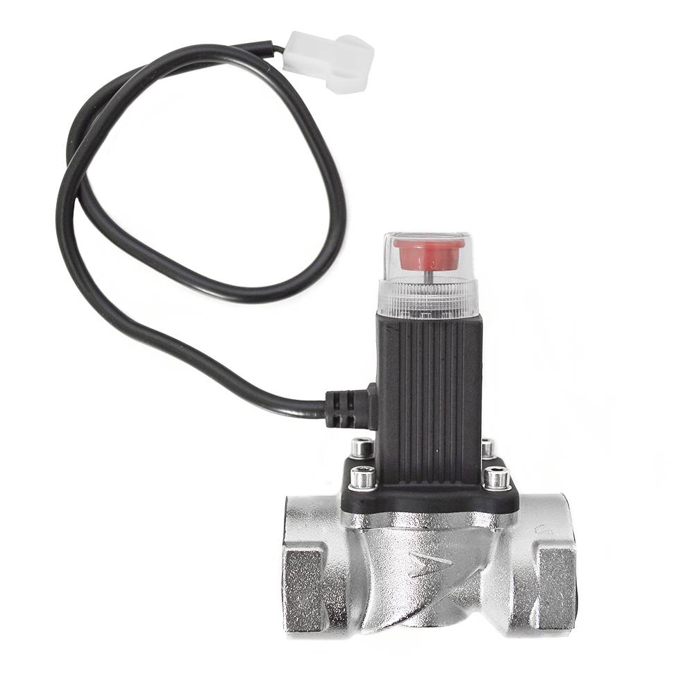 PNI GV10 1 Zoll (tol) Gasmagnetventil, Innengewinde, 12V Impulssteuerung