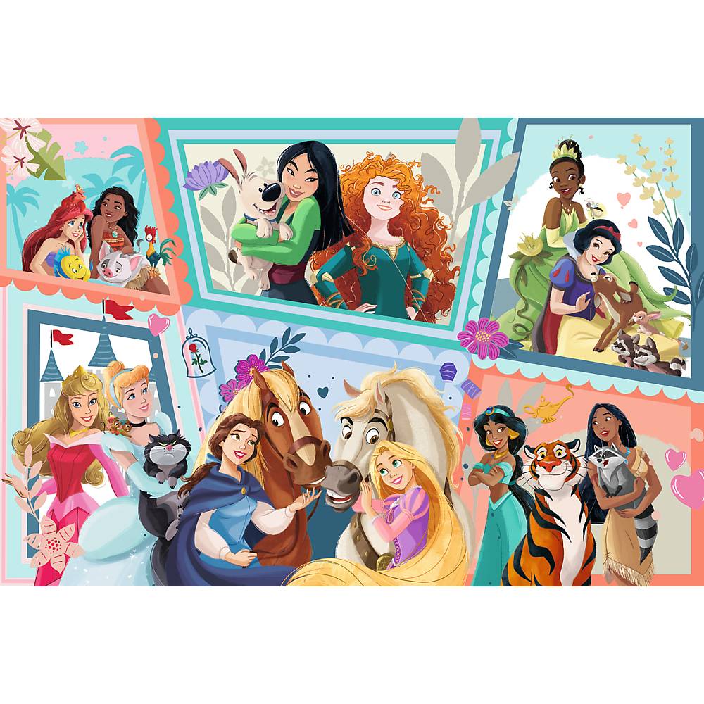 Trefl, Disney Princess, 300 Teile Premium Plus Puzzle