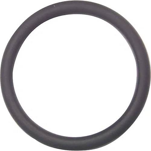 Ein einfacher schwarzer Gummi-O-Ring-Dichtring auf weißem Hintergrund.