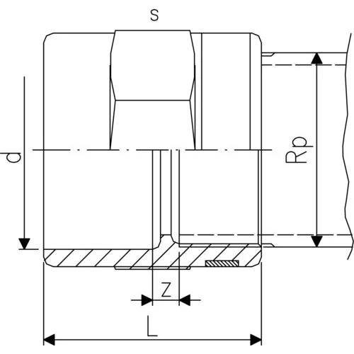 Technische Querschnittszeichnung eines zylindrischen Bauteils mit Bemaßungspfeilen bezeichnet mit d, S, Rp, Z und L, die innere Geometrie und gemessene Längen zeigend.
