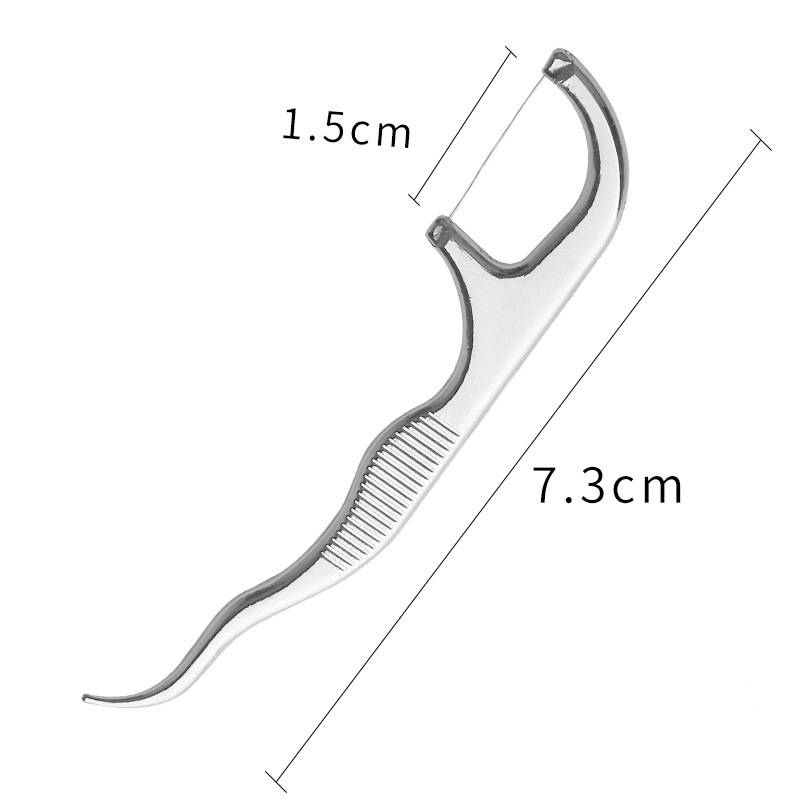 Tragbares Zahnstocherset aus Edelstahl (5-teilig)