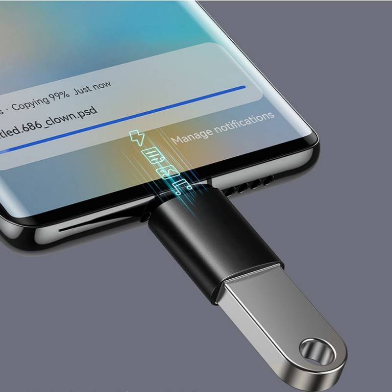 USB-C-auf-USB-3.1-Adapter aus Aluminiumlegierung Silver