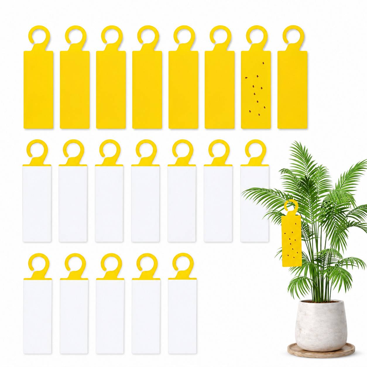 25er-Pack Klebefallen - Insektenfalle für Garten, Gewächshaus und Zimmerpflanzen Yellow