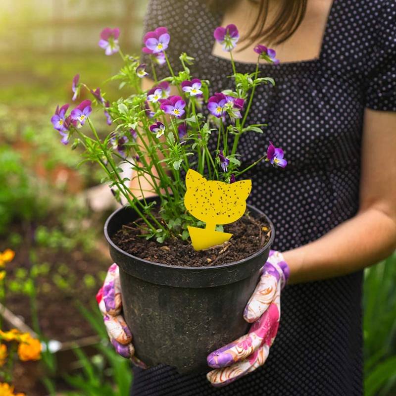 60er-Pack Fliegenfänger / Fliegenfalle / Falle für klebrige Insekten Yellow