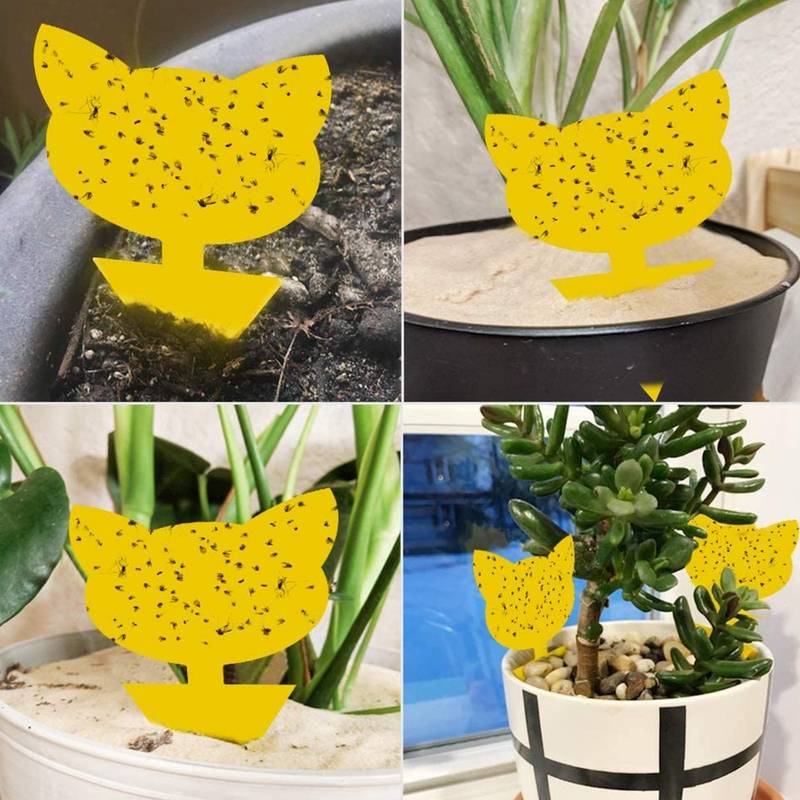 60er-Pack Fliegenfänger / Fliegenfalle / Falle für klebrige Insekten Yellow