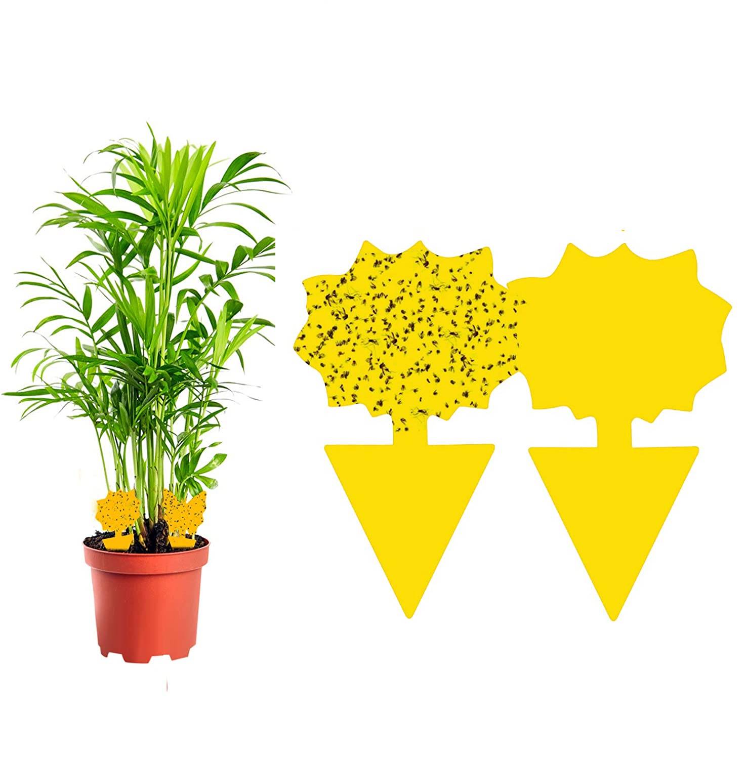 60er-Pack Fliegenfänger / Fliegenfalle / Falle für klebrige Insekten Yellow