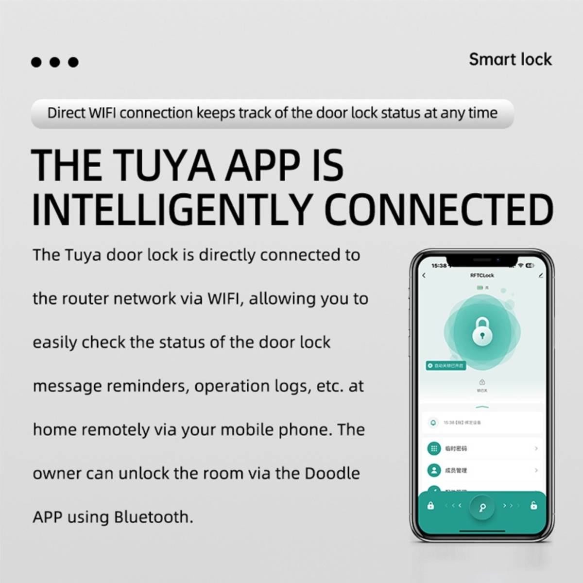 Smart Türschloss Fingerabdruck Tuya - TTLock Bluetooth Biometrisches schlüsselloses System für Haus, Wohnung, Hotel, Schule Silver