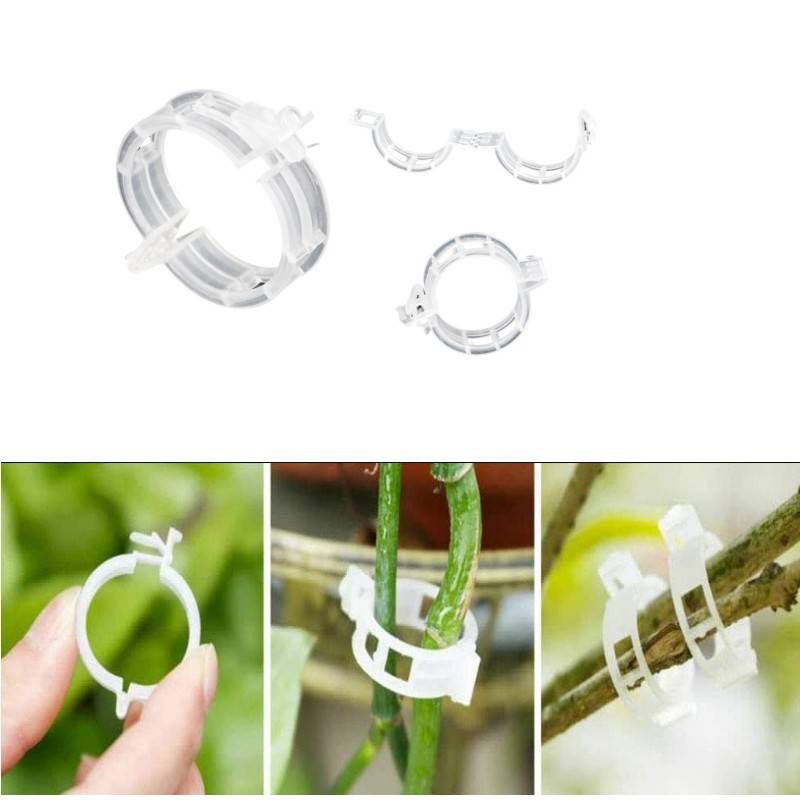 100Stk Pflanzenclips, Pflanzenklammern Tomatenclips Transparent