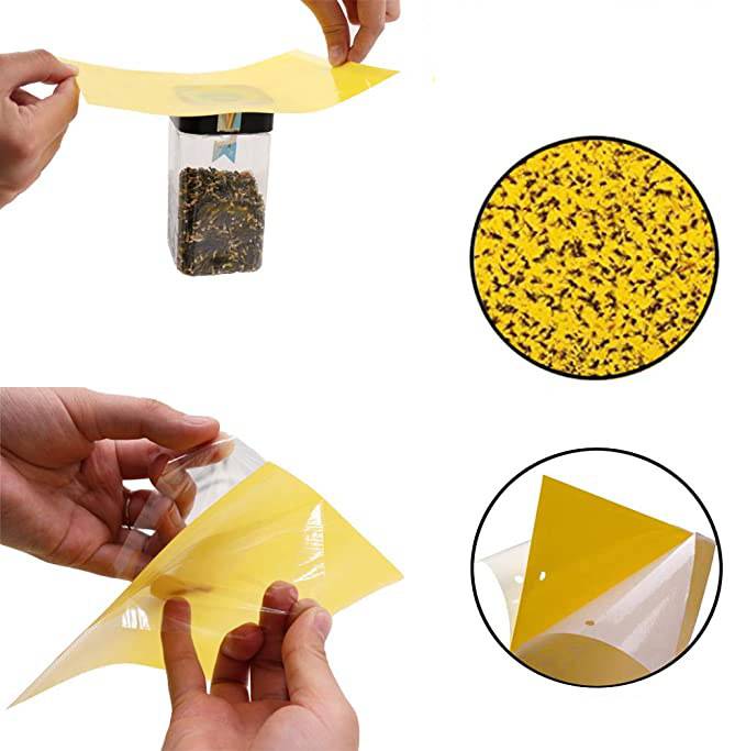 Insektenfalle für den Garten - 60er Pack S