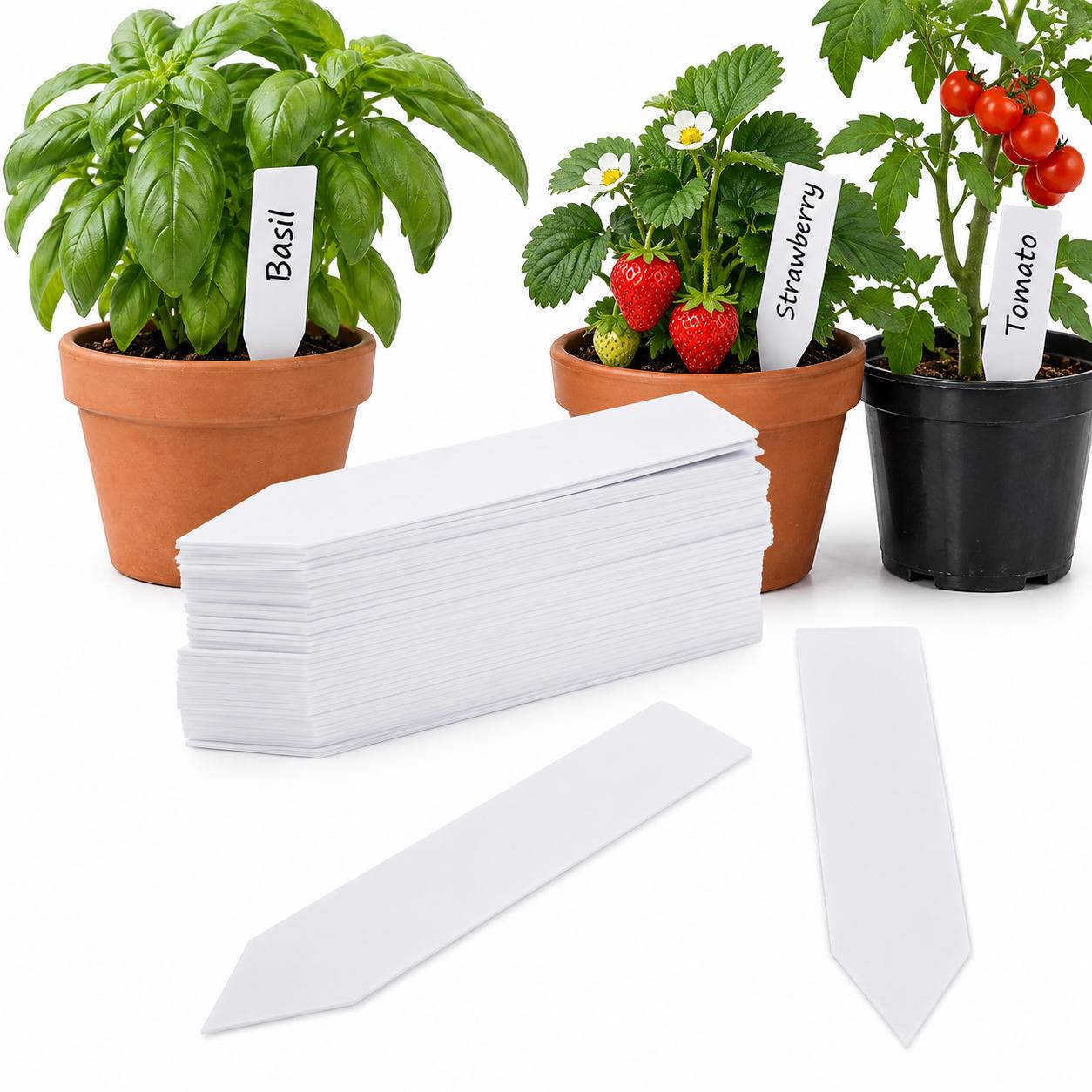 100 Stück Pflanzenschilder White
