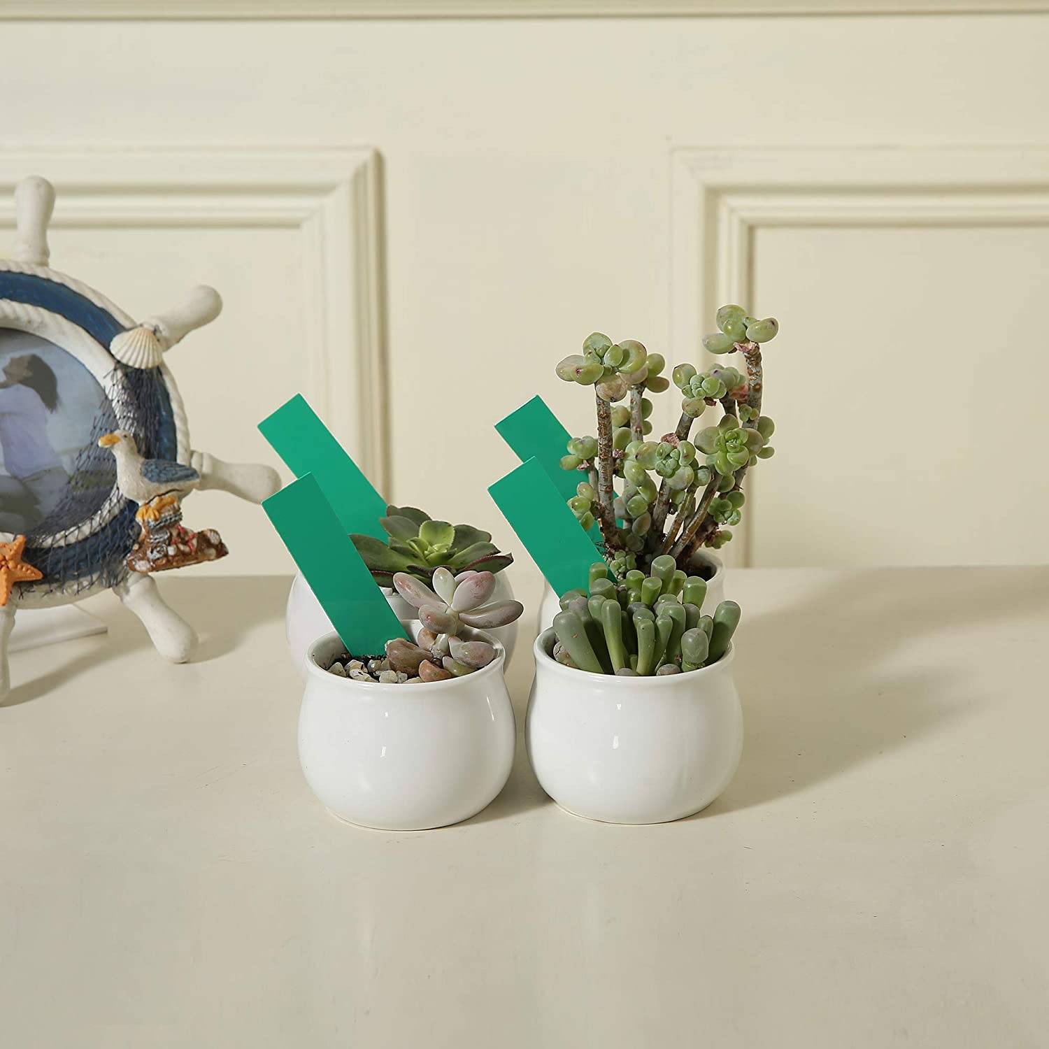 Wasserbeständige Pflanzenetiketten / Pflanzenschilder mit Löchern aus PVC im 100er-Pack