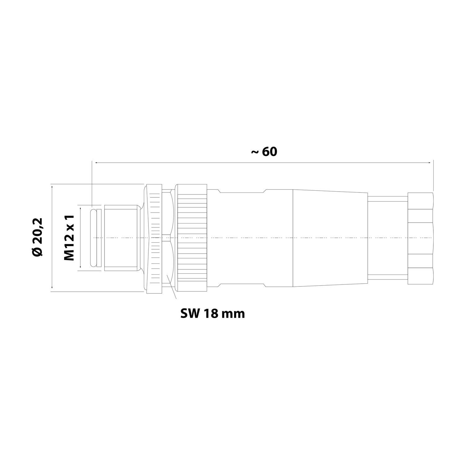 Technische Seitenansicht einer zylindrischen Gewinde-Komponente mit folgenden Abmessungen: Länge ~60 mm, Durchmesser 20,2 mm, M12 x 1 Gewinde und SW 18 mm.