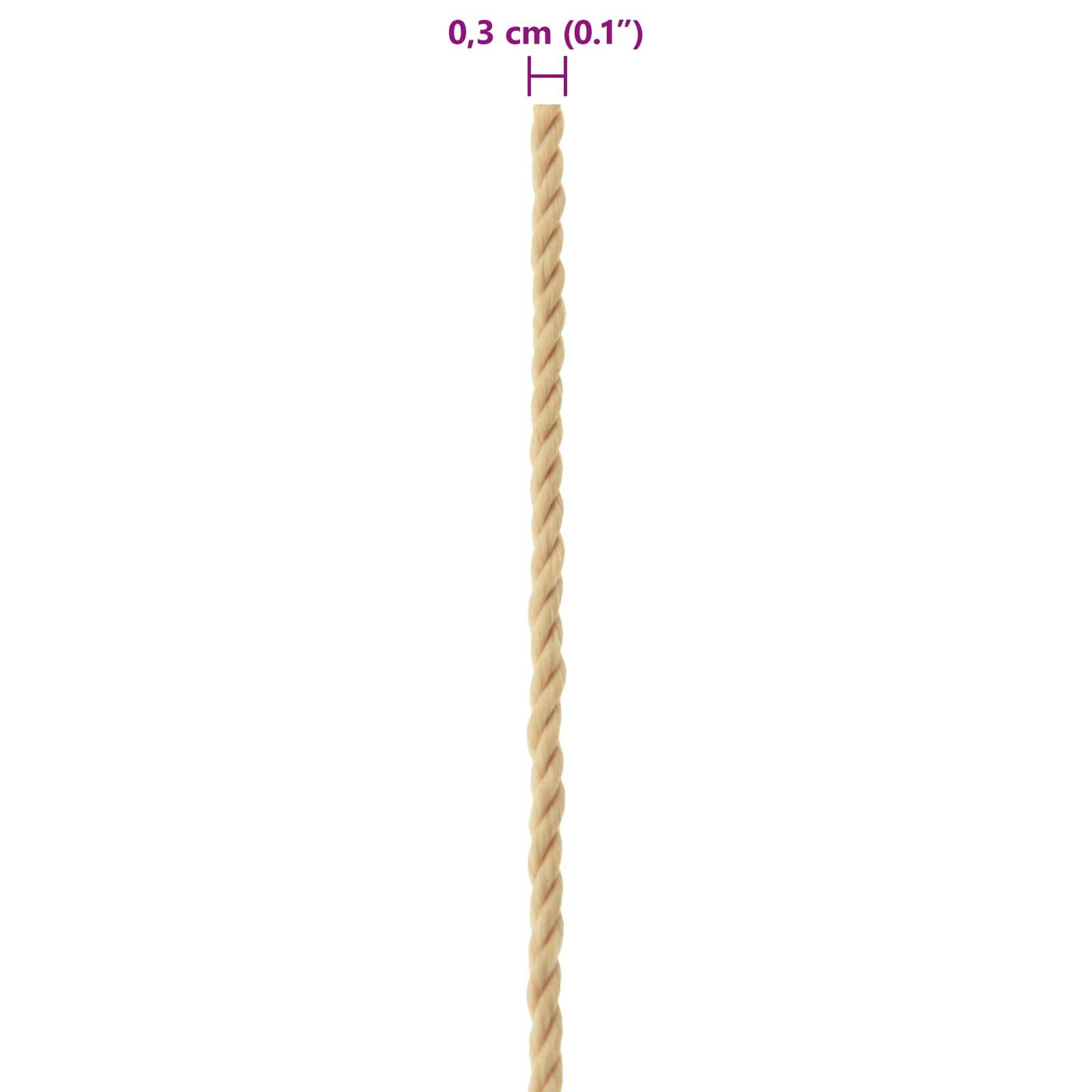 vidaXL Bootsseil 25 m 0.3 Natur PP