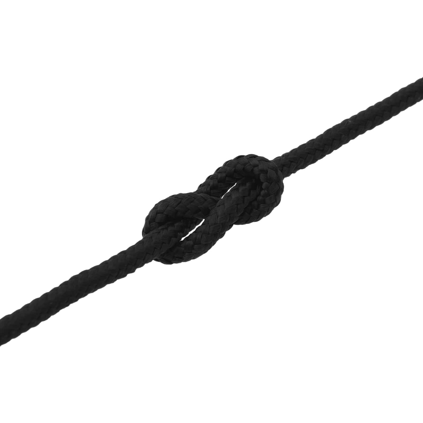 vidaXL Bootsseil 6 m 2 Schwarz Polyester