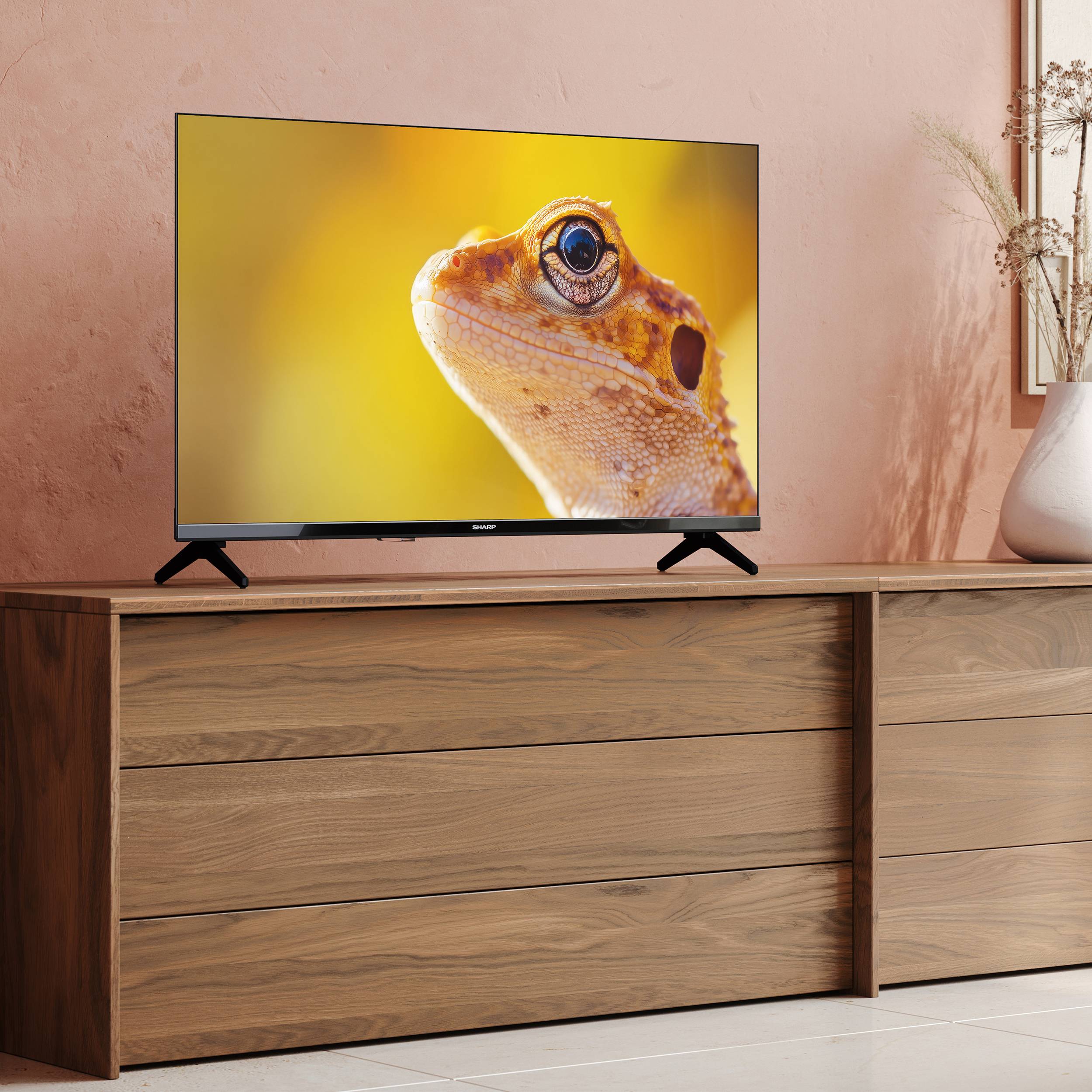 SHARP 32HA1705E 32 Zoll Fernseher LED TV mit HD Auflösung und Triple-Tuner DVB-C/-T2/-S2 (2026)