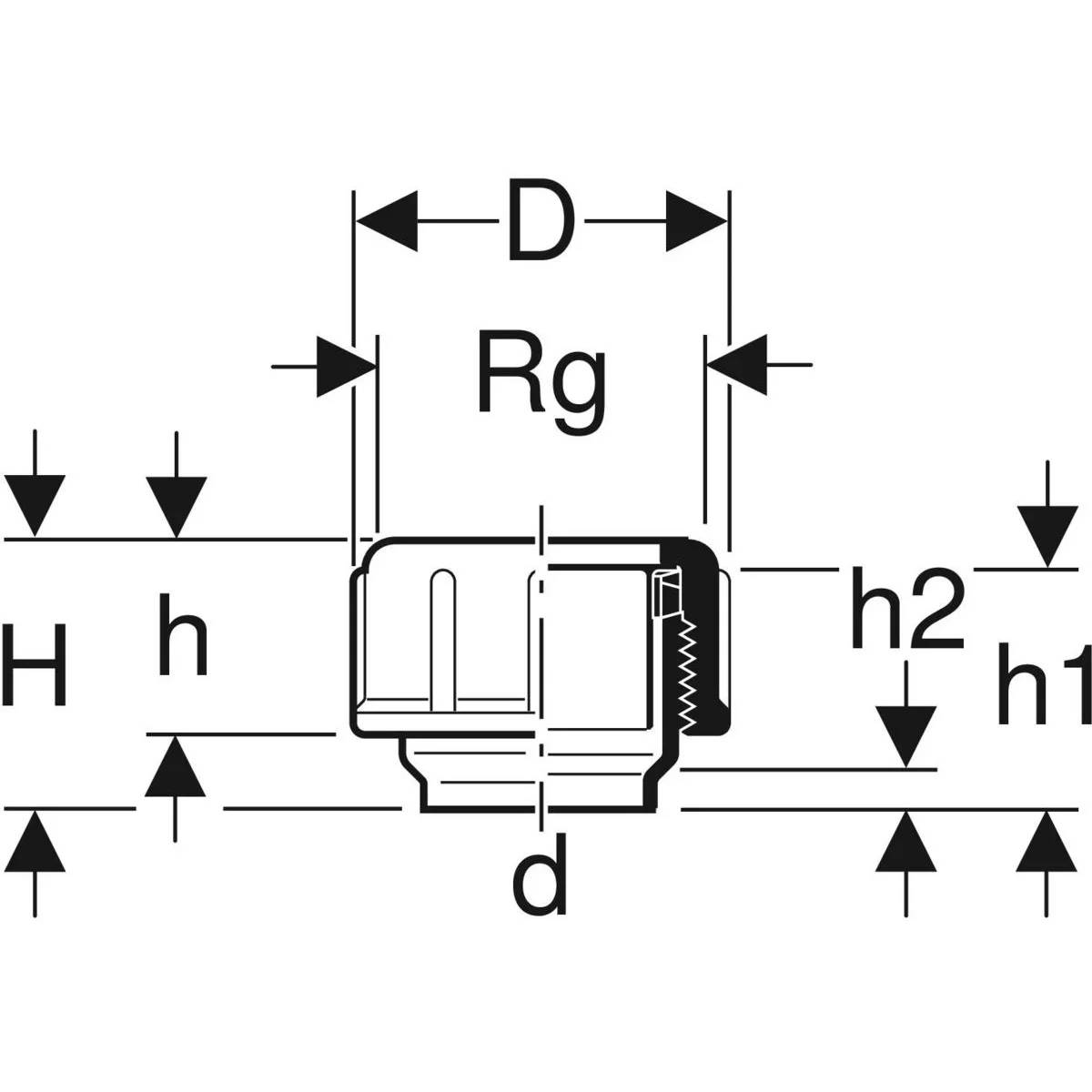 Technische Abmessungszeichnung eines zylindrischen Steckers oder einer Kappe mit Messungen D, Rg, d, H, h, h1 und h2.