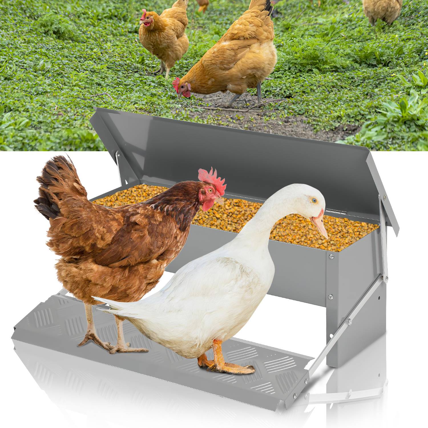 Hühner Futterautomat 5 kg, verzinkt mit Trittklappe und Zubehör