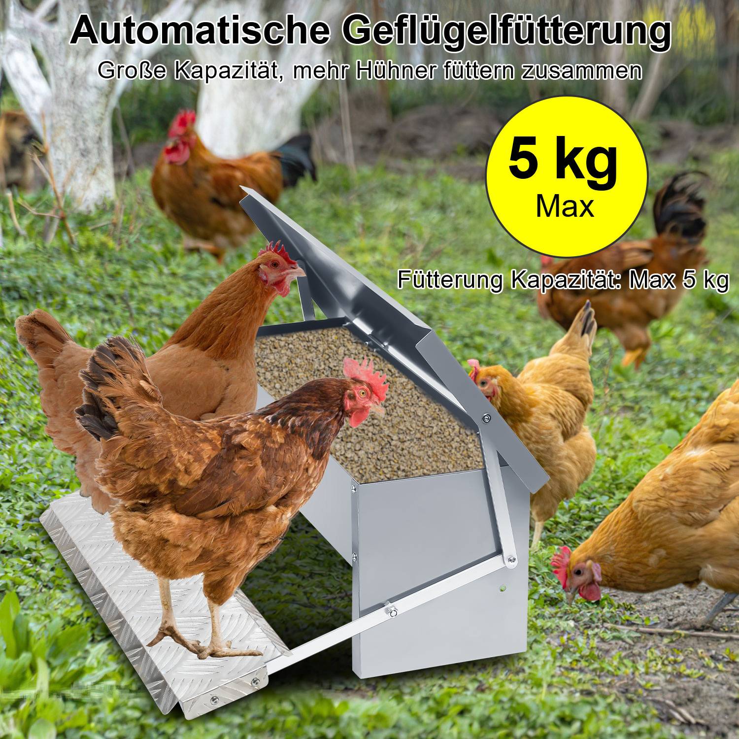 Hühner Futterautomat 5 kg, verzinkt mit rutschfester Trittplatte