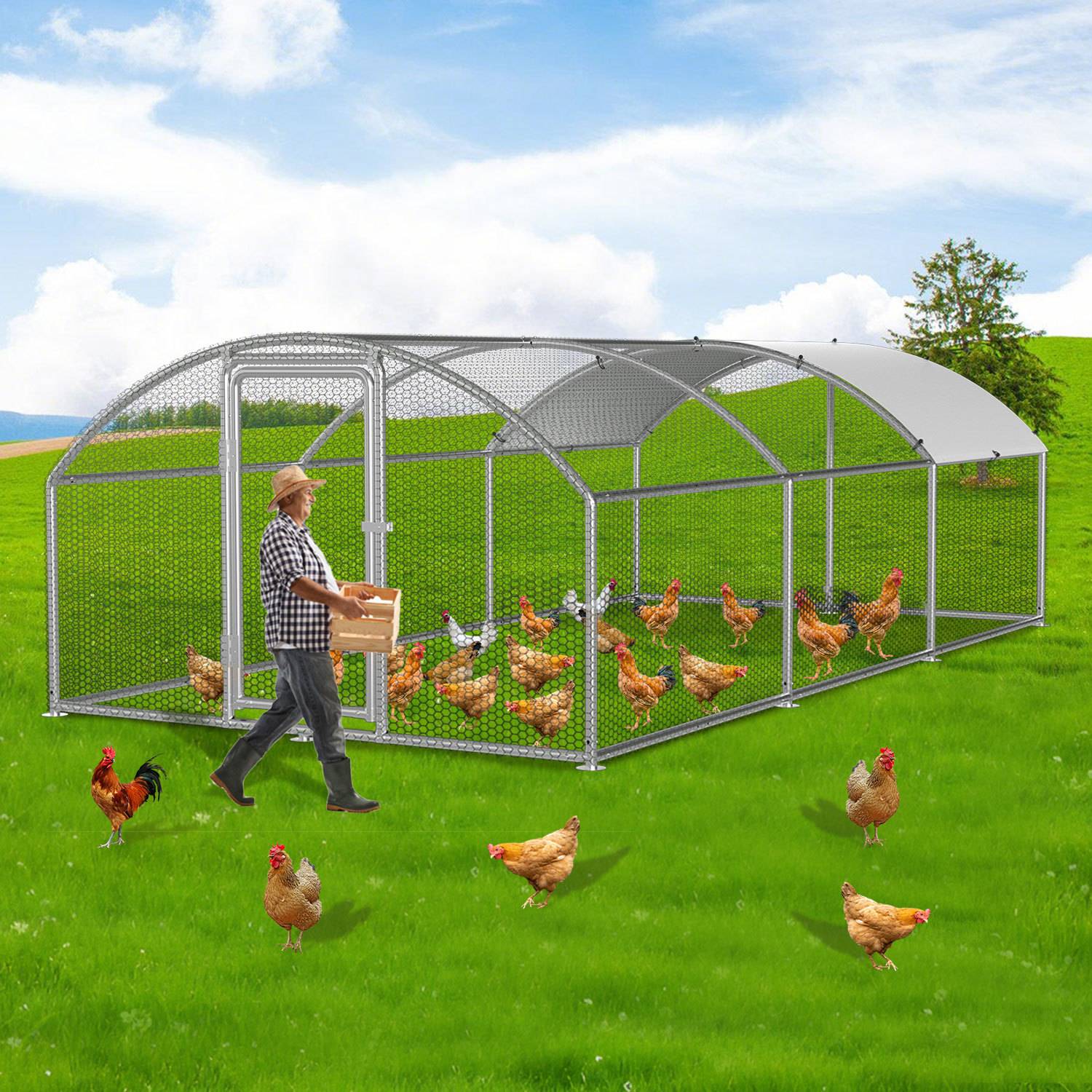 Hühnerstall 3x6x2m Kuppeldach Hühnerhaus Freilaufgehege Kleintierstall Voliere mit PE-Dach