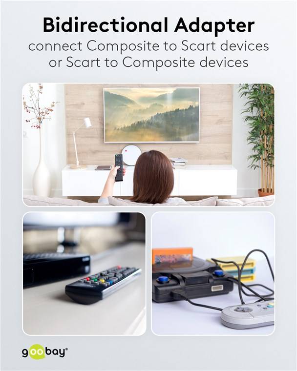 10x Goobay 50122 Scart zu Composite Audio Video Adapter, IN/OUT, Scart-Stecker (21-Pin), Schwarz - Scart-Stecker (21-Pin) > 3x Cinch-Buchse