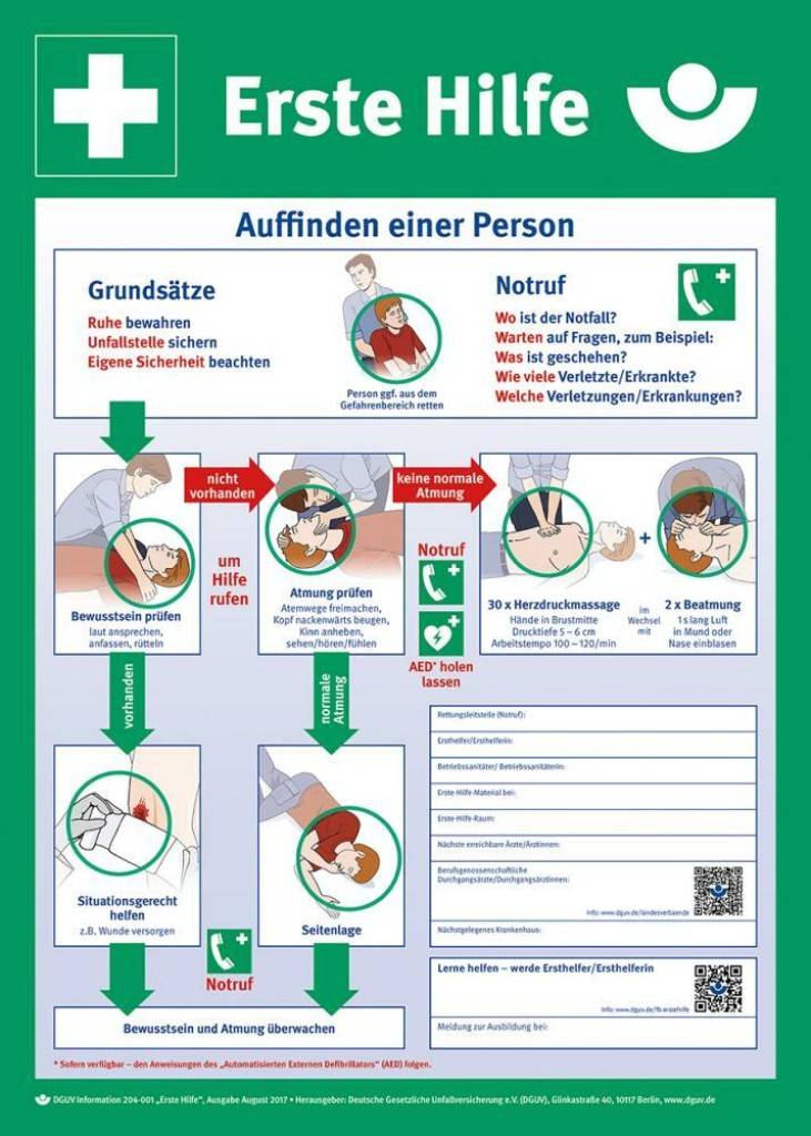 Rettungsschild, Anleitung zur Ersten HilfeDGUV Information 204Nicht langnachleuchtend