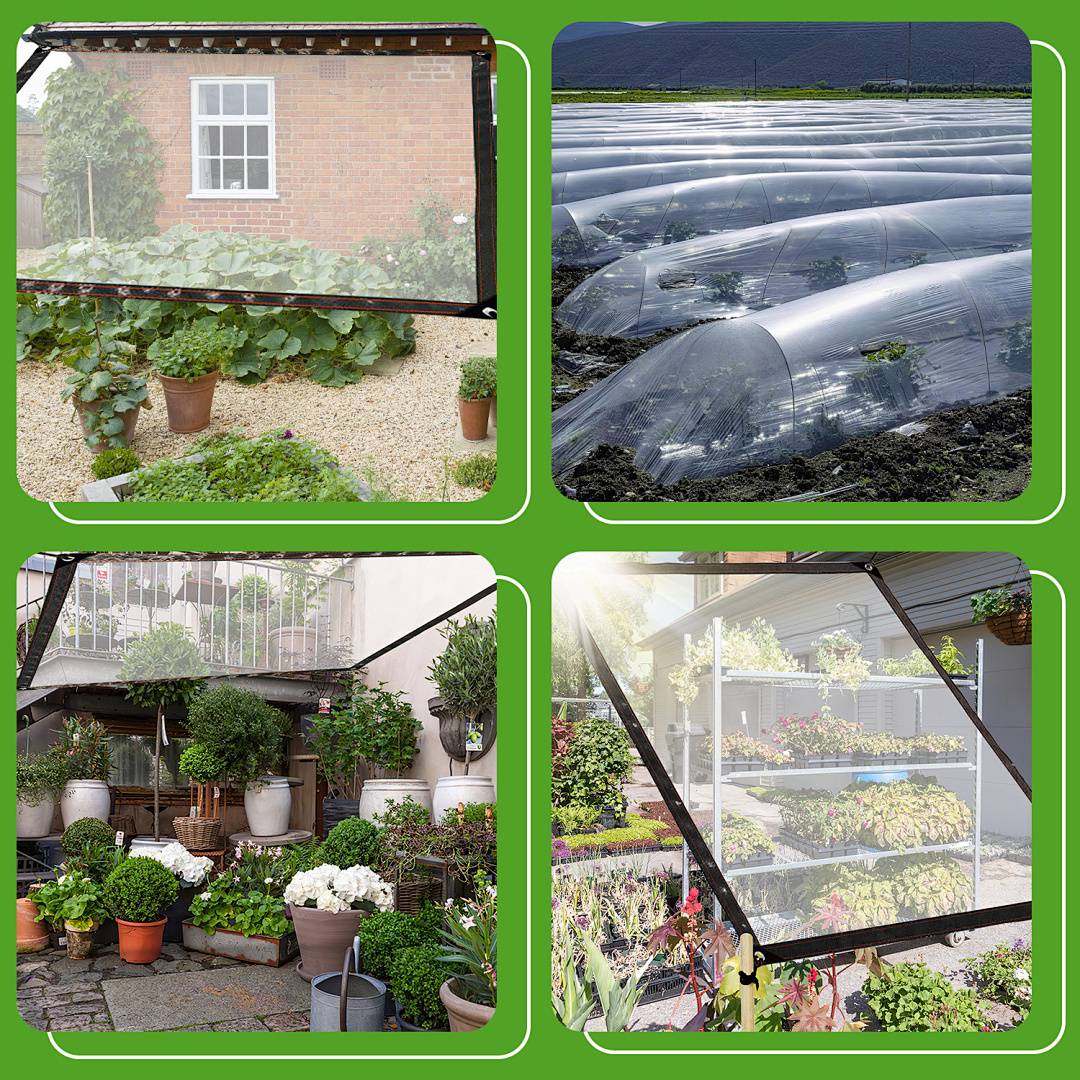 2x Transparente Plane mit Ösen wasserdichte Abdeckplane aus PE wetterfest und UV-beständig für Garten Balkon Terrasse Gewächshaus und Pavillon 3
