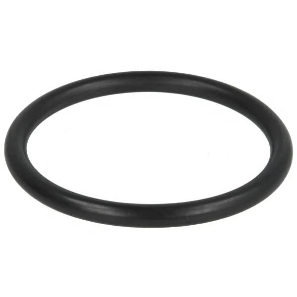 Schwarze Gummi-O-Ring-Dichtung auf einfachem weißem Hintergrund.