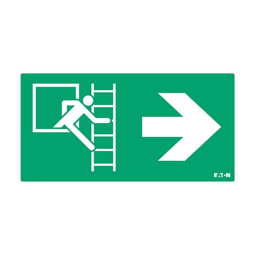 Ceag Notlichtsysteme Piktogramm 40071355308