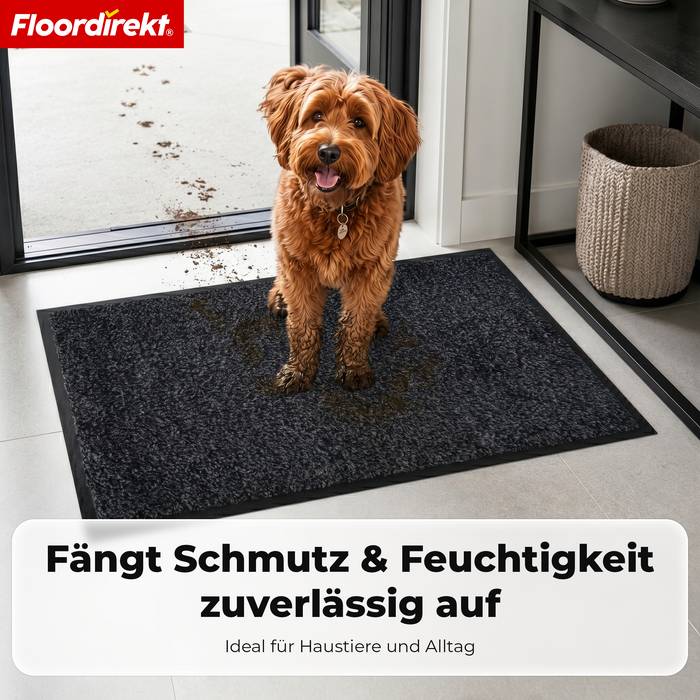 FLOORDIREKT Schmutzfangmatte Karat - Waschbare Sauberlaufmatte mit rutschfester TPE-Rückseite - Grau - 40 x 60 cm