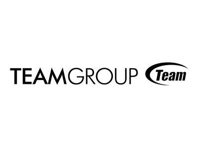 TEAMGROUP-Logo mit dem Team-Namen in einem ovalen Emblem auf weißem Hintergrund.