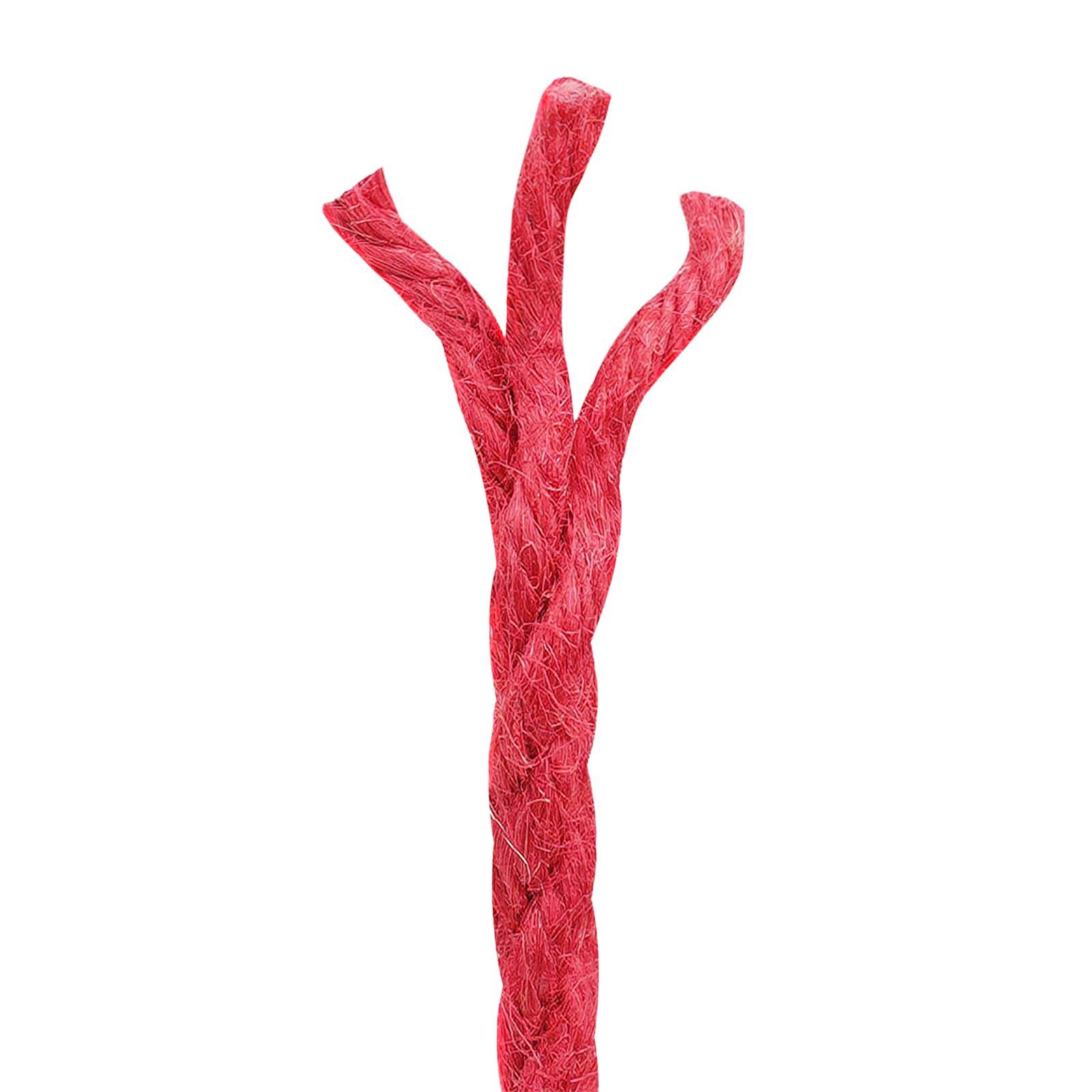 vidaXL Juteseil 2 pcs Rot 100% Tossa Jute