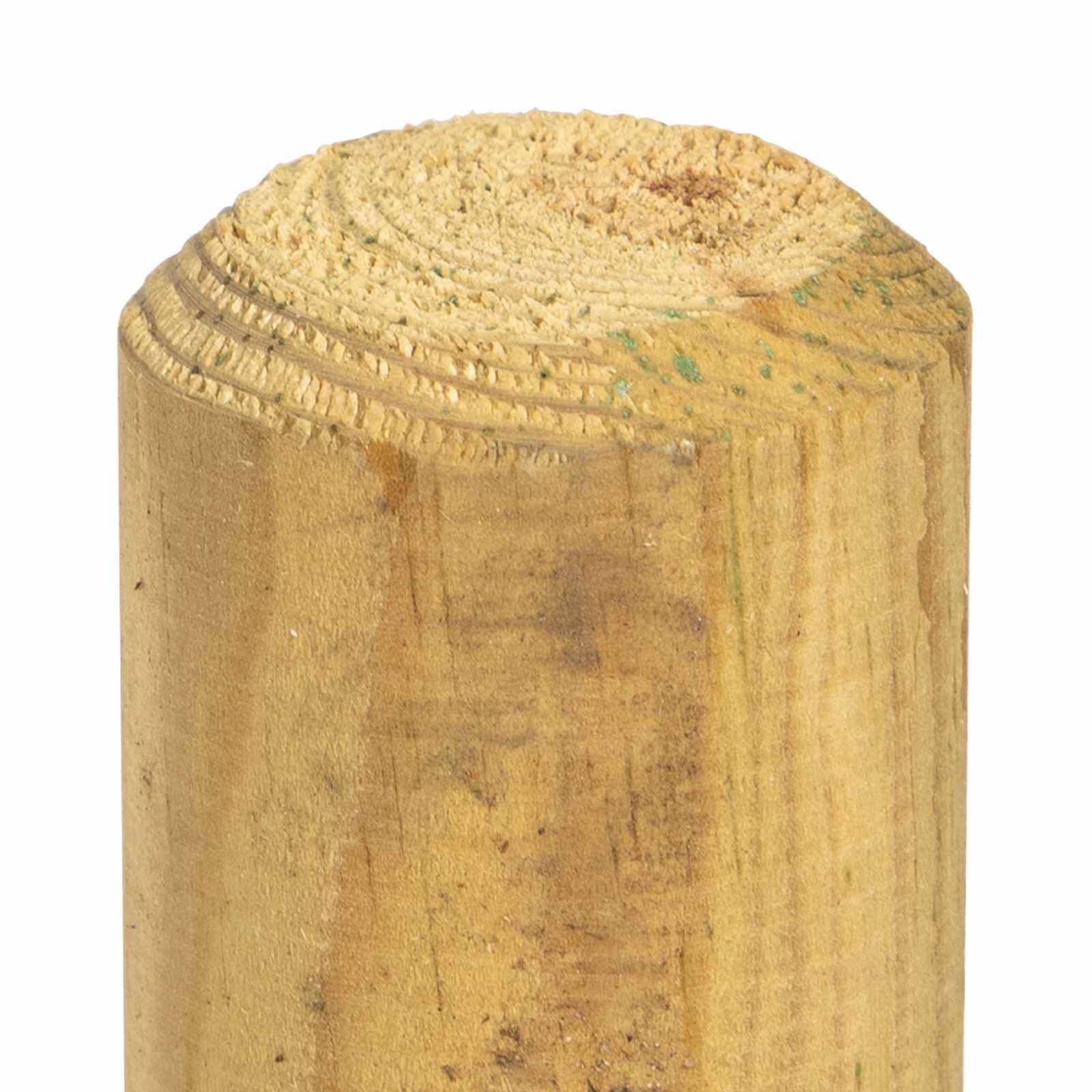 vidaXL Zaunpfosten 5 Stk. Grün 150 cm Massives Kiefernholz