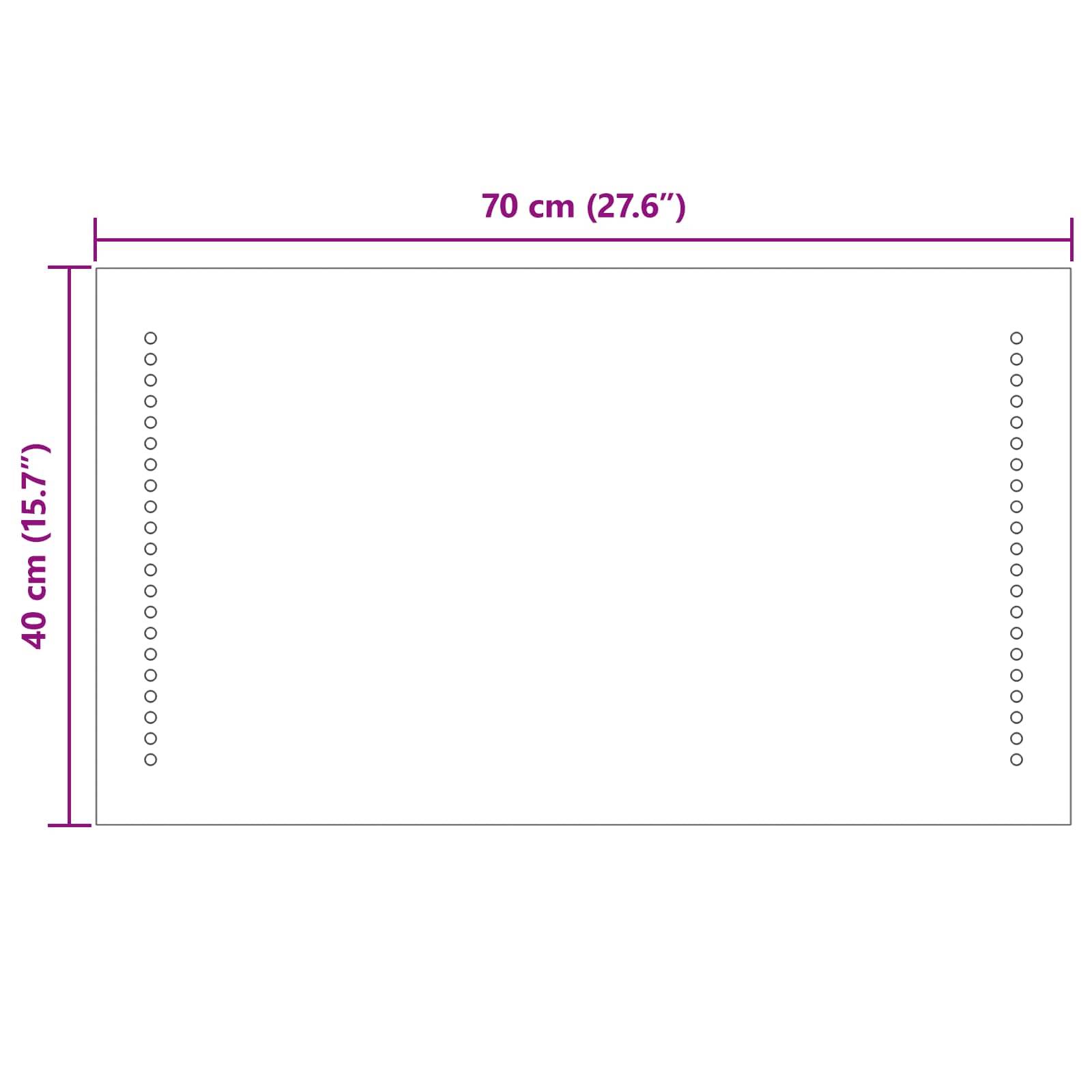 vidaXL LED-Badezimmerspiegel Transparent 70 x 40 cm Gehärtetes Glas