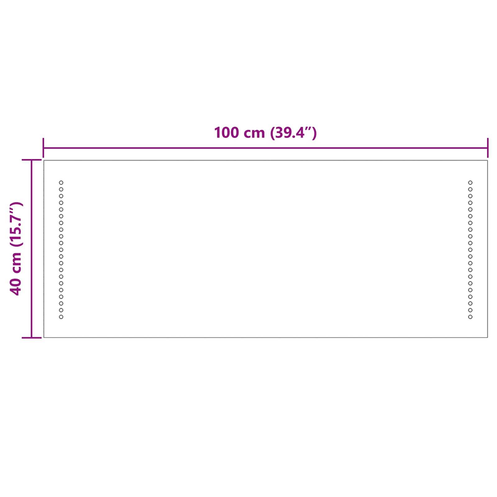 vidaXL LED-Badezimmerspiegel Transparent 100 x 40 cm Gehärtetes Glas
