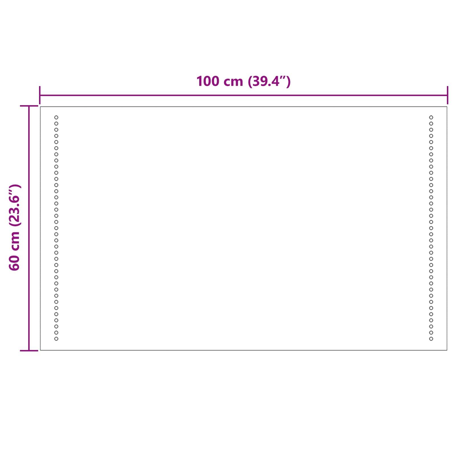 vidaXL LED-Badezimmerspiegel Transparent 100 x 60 cm Gehärtetes Glas