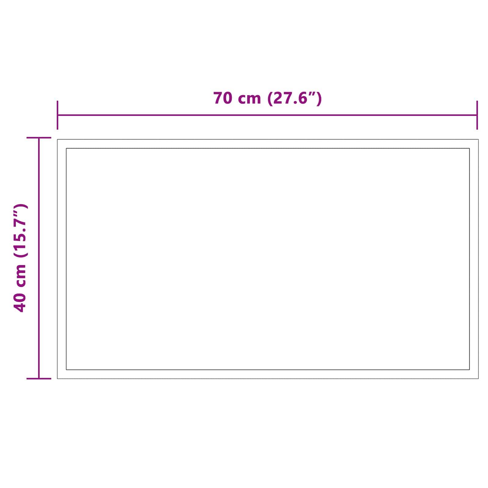 vidaXL LED-Badezimmerspiegel Transparent 70 x 40 cm Gehärtetes Glas
