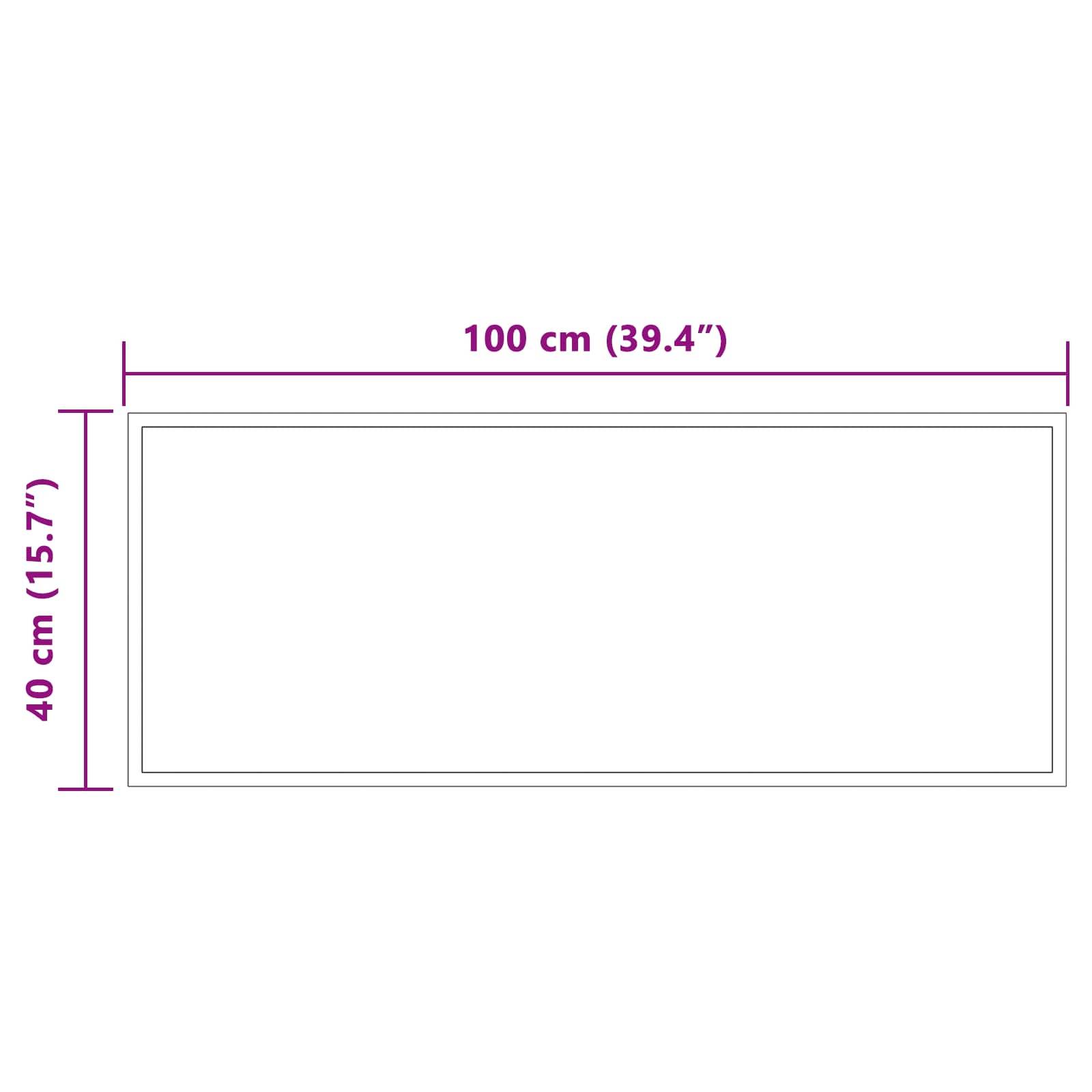 vidaXL LED-Badezimmerspiegel Transparent 100 x 40 cm Gehärtetes Glas