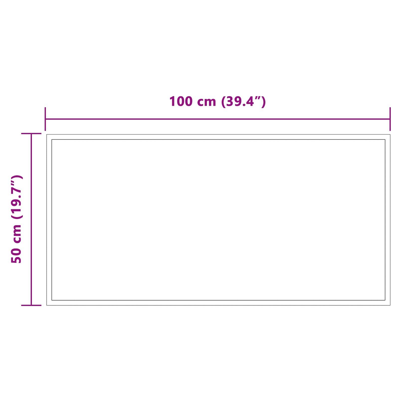 vidaXL LED-Badezimmerspiegel Transparent 100 x 50 cm Gehärtetes Glas