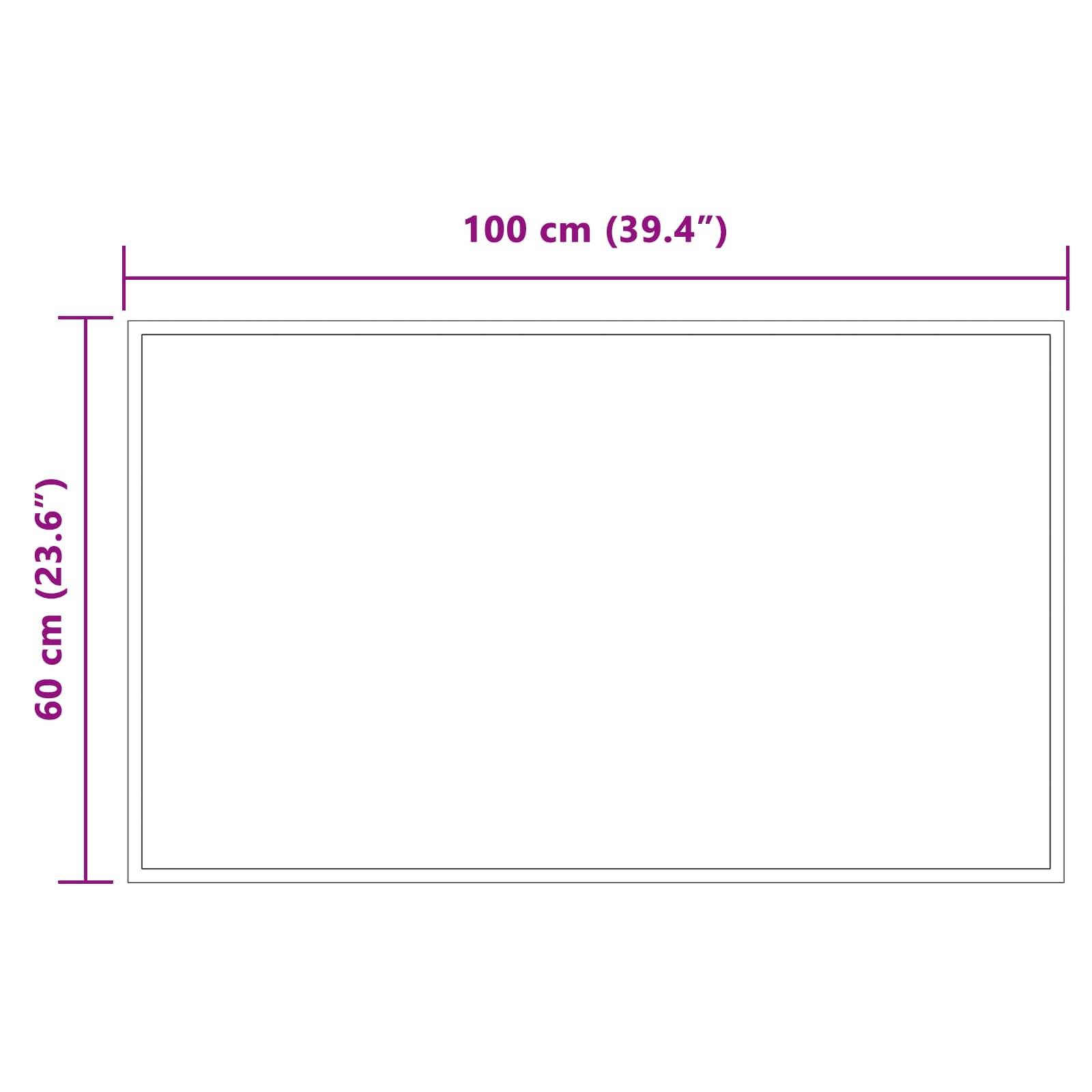vidaXL LED-Badezimmerspiegel Transparent 100 x 60 cm Gehärtetes Glas