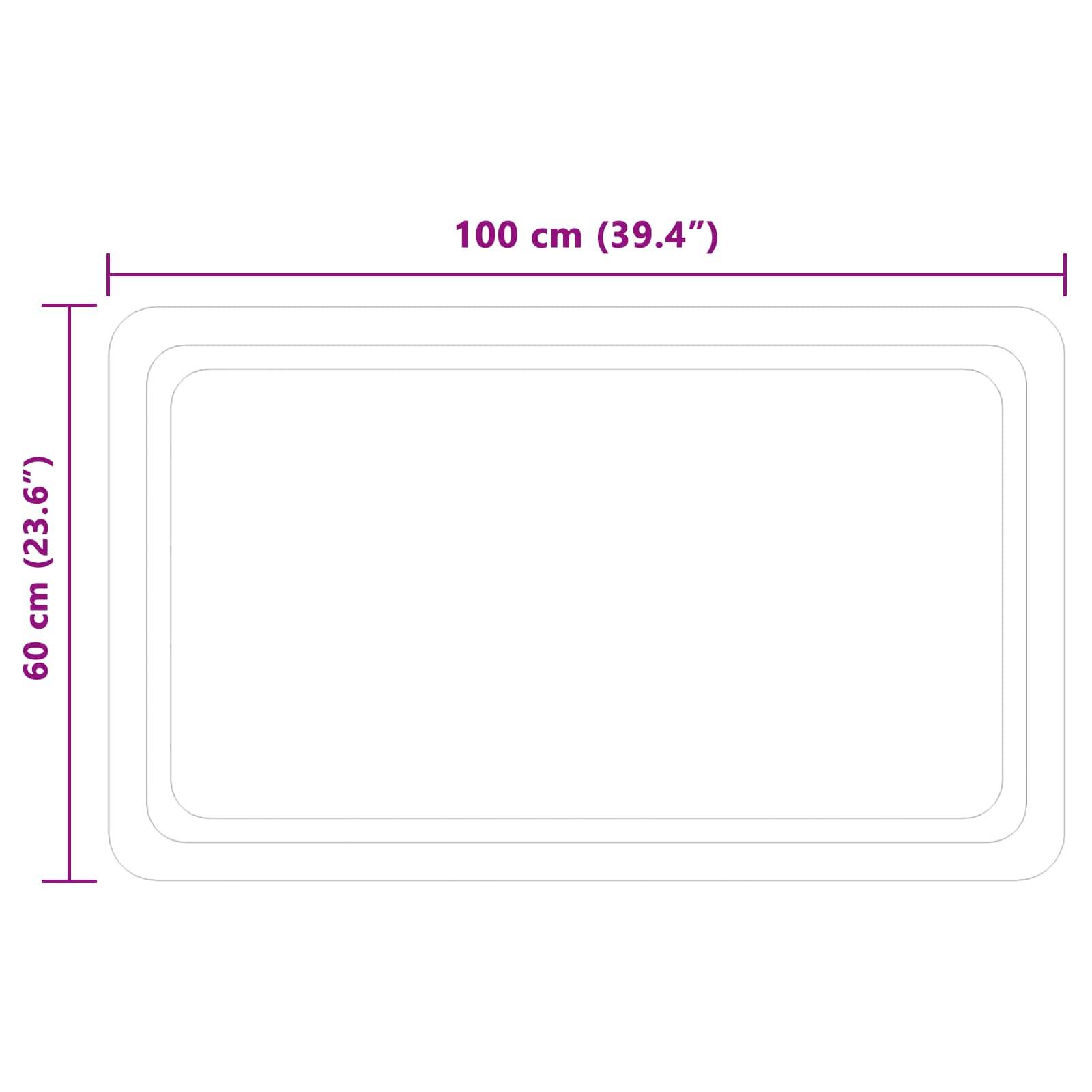 vidaXL LED-Badezimmerspiegel Transparent 100 x 60 cm Gehärtetes Glas