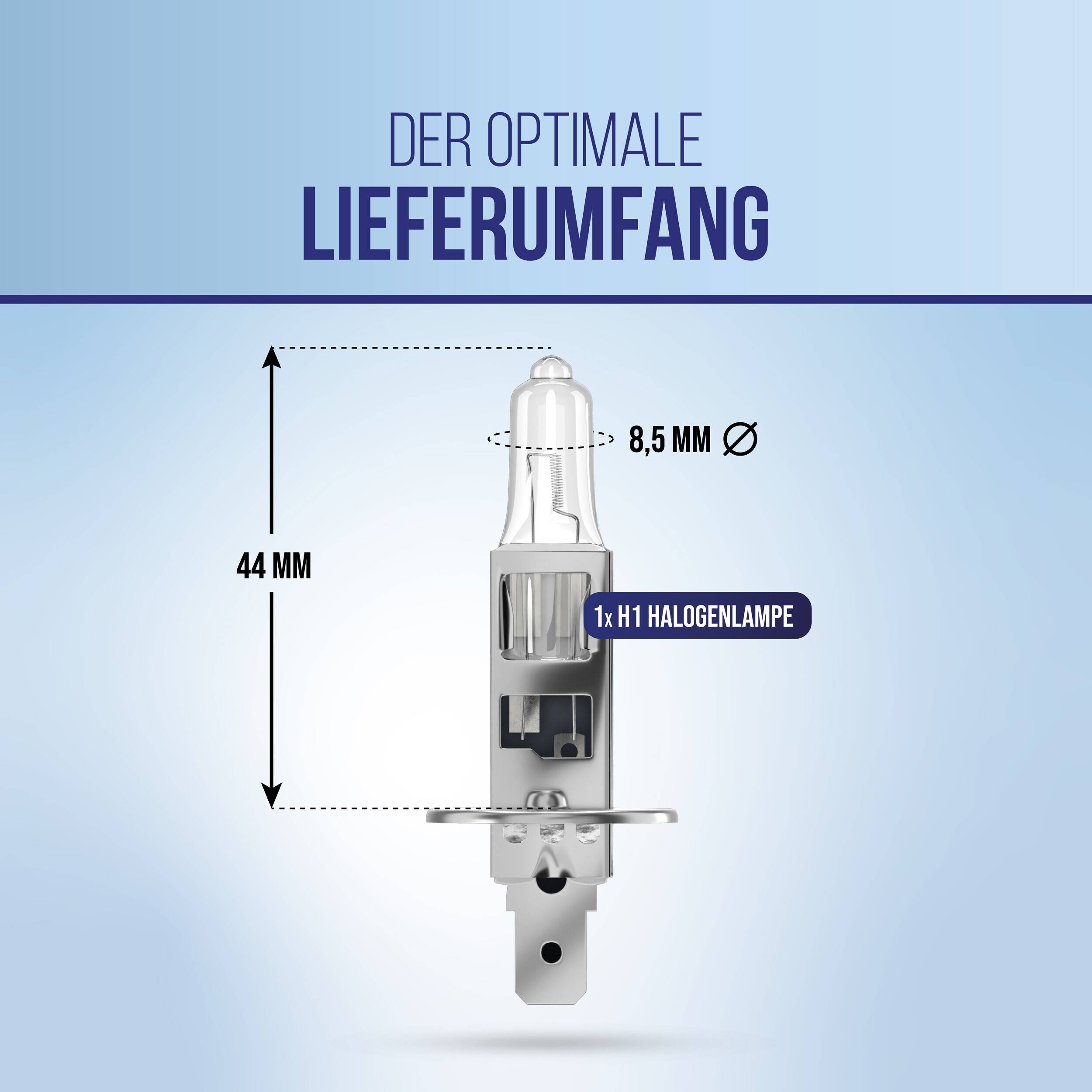 alca® H1 Halogenlampe für LKW Scheinwerfer mit 1800 lm sowie 24 V 70 W