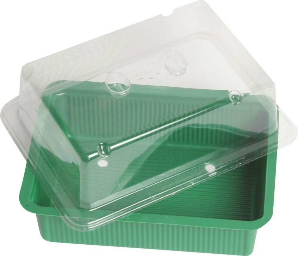 Indoor-GewächshausKlein ClassicRechteckige FormWasserdichte SaatschaleKlarsichtabdeckhaubeMaterial KunststoffFarbe grün