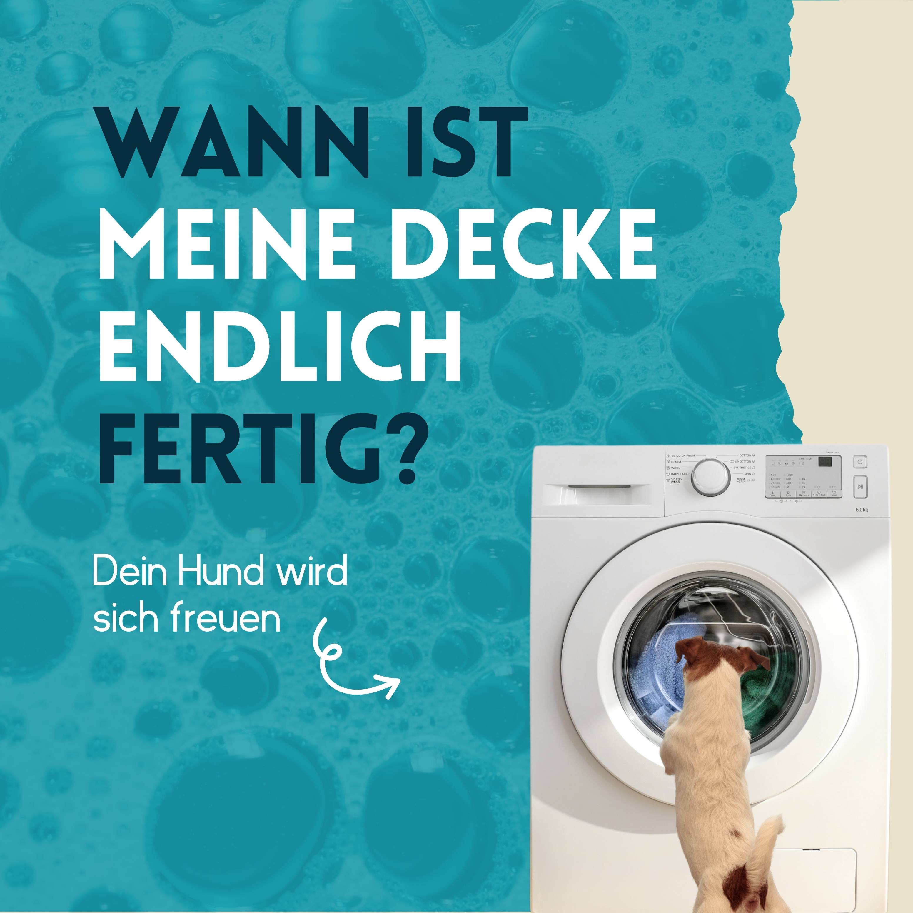 nimo Waschmittel für Hundebekleidung - reinigt zuverlässig ohne Duftstoffe & Farbstoffe