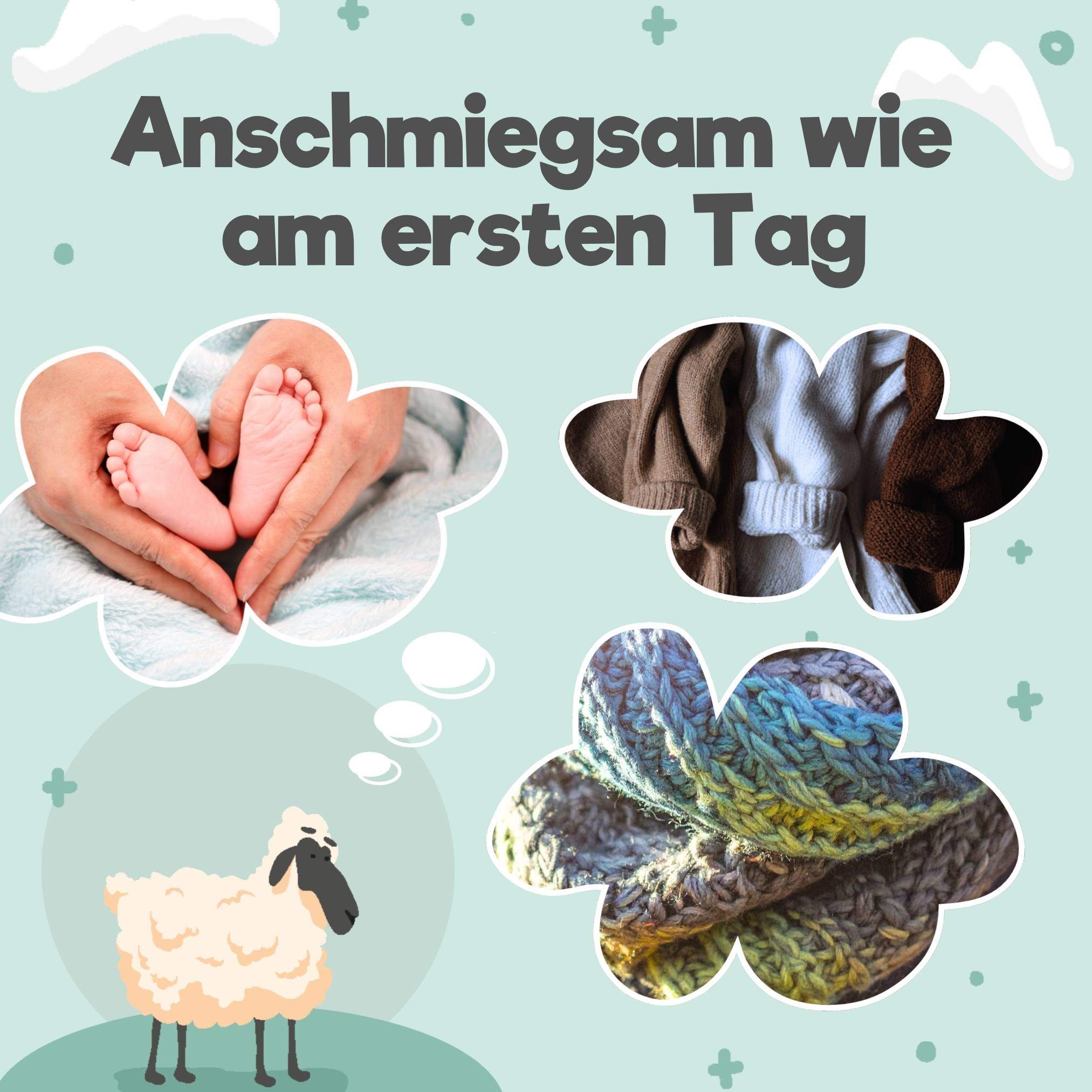 eco:fy Lanolin-Wollkur - schonende Kur zur natürlichen Pflege