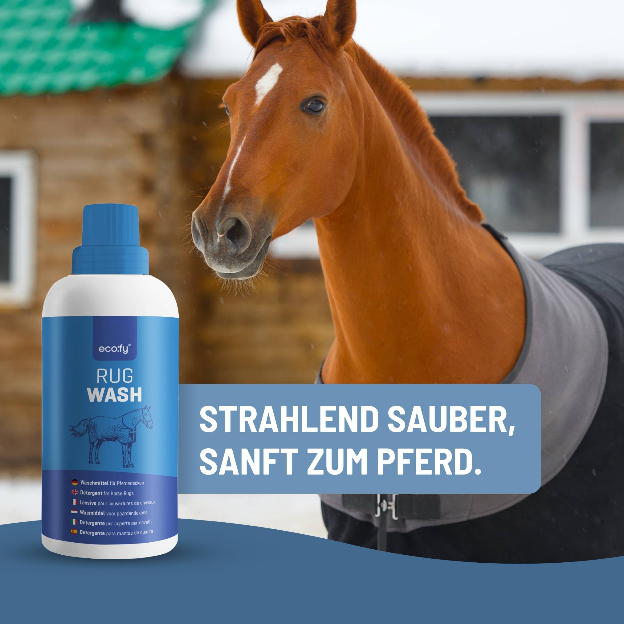 eco:fy Pferdedecken Waschmittel - Rug Wash, Deckenwaschmittel für Synthetik & Baumwolle