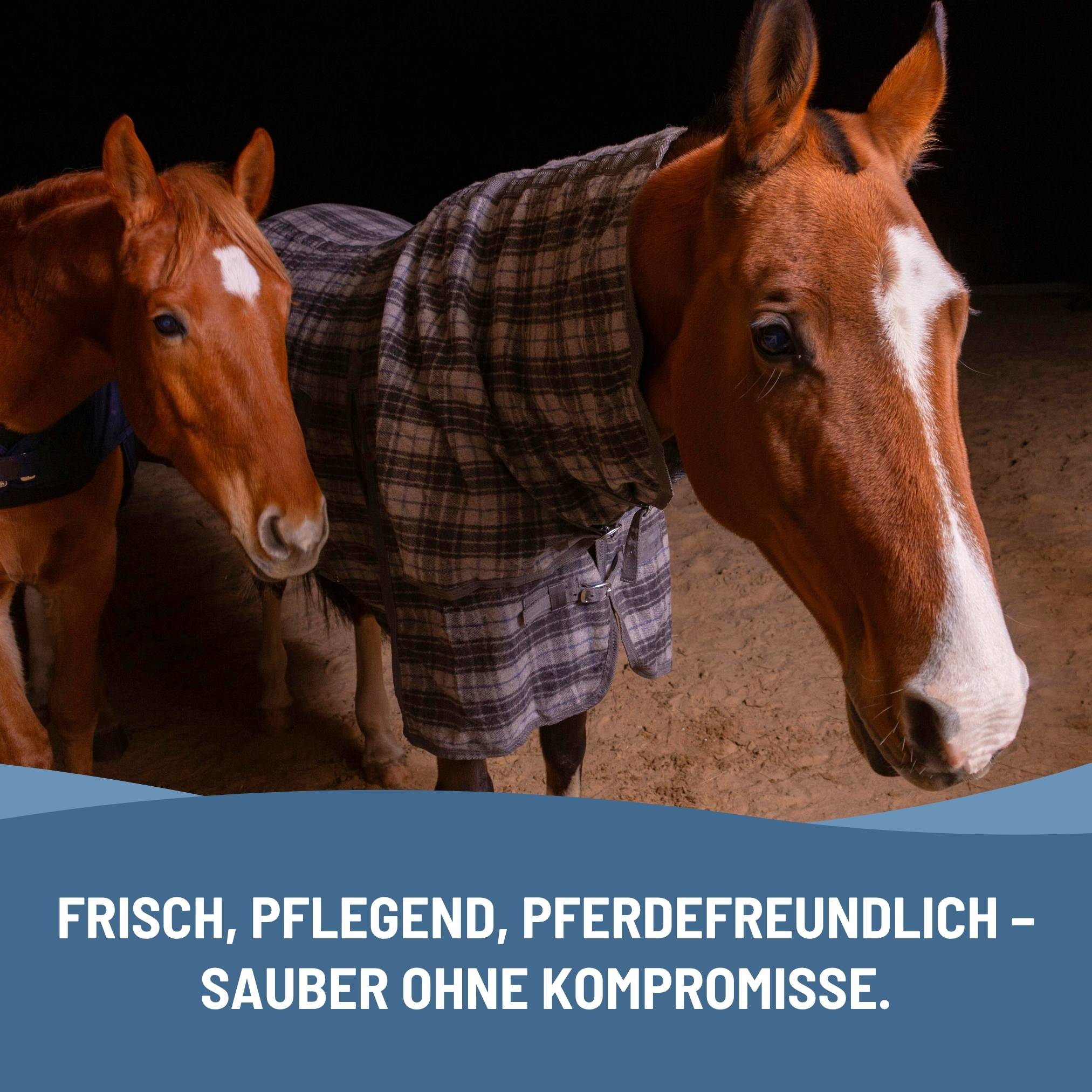 eco:fy Pferdedecken Waschmittel - Rug Wash, Deckenwaschmittel für Synthetik & Baumwolle