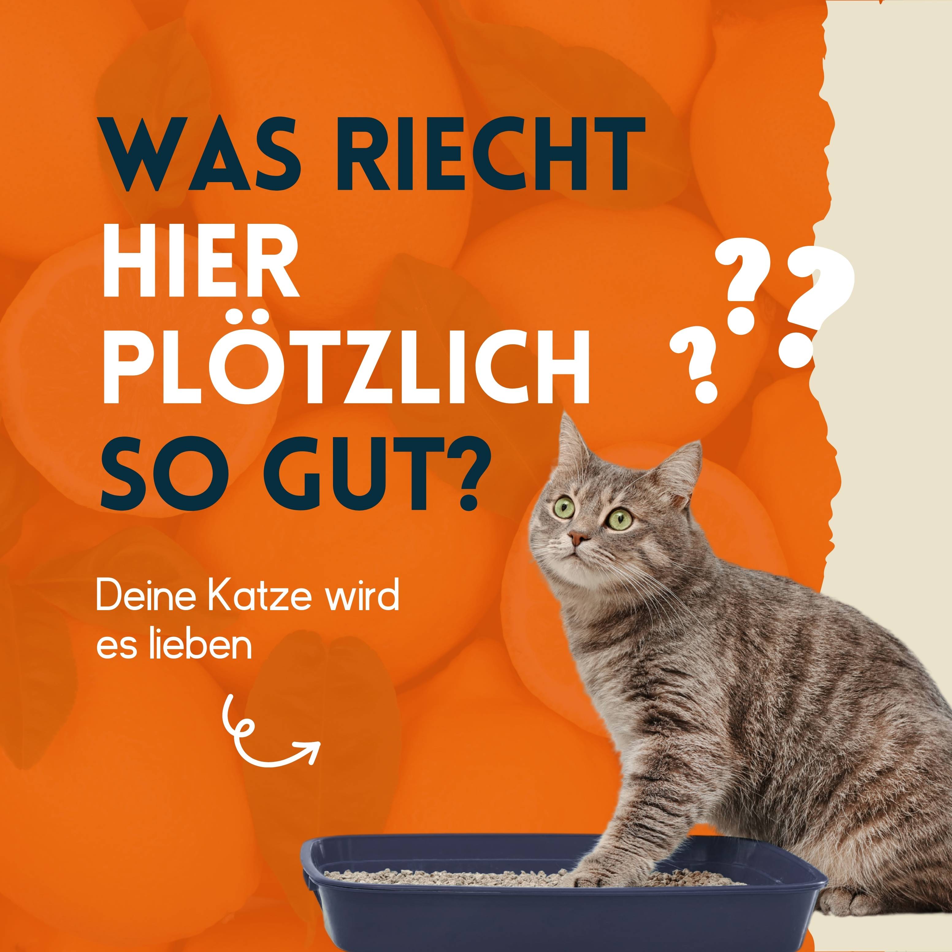 nimo Katzenklo Geruchsentferner - Neutralisierendes Spray gegen Gerüche und Urin