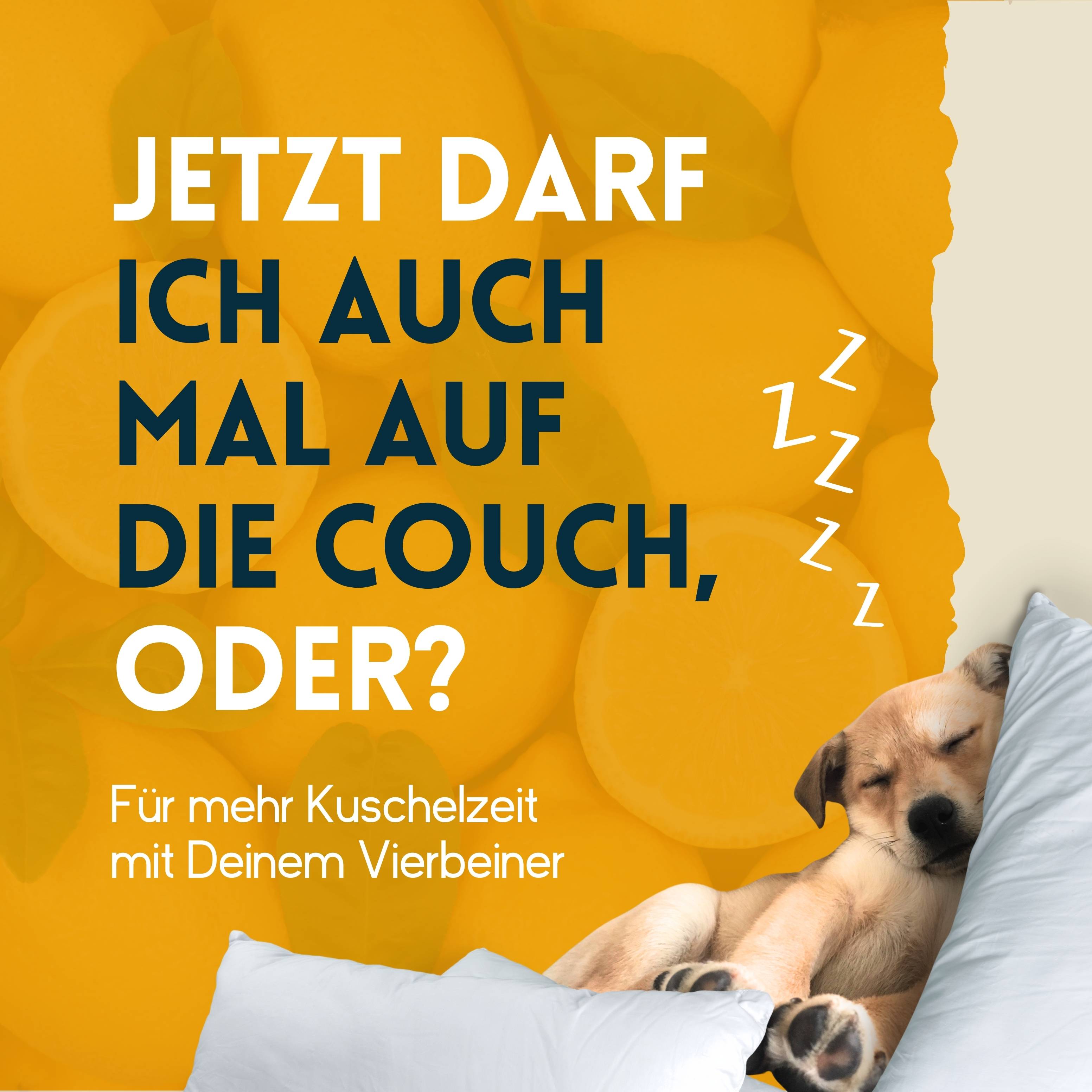 nimo Haustier Geruchsentferner - Neutralisierendes Spray gegen Gerüche im Hauhalt