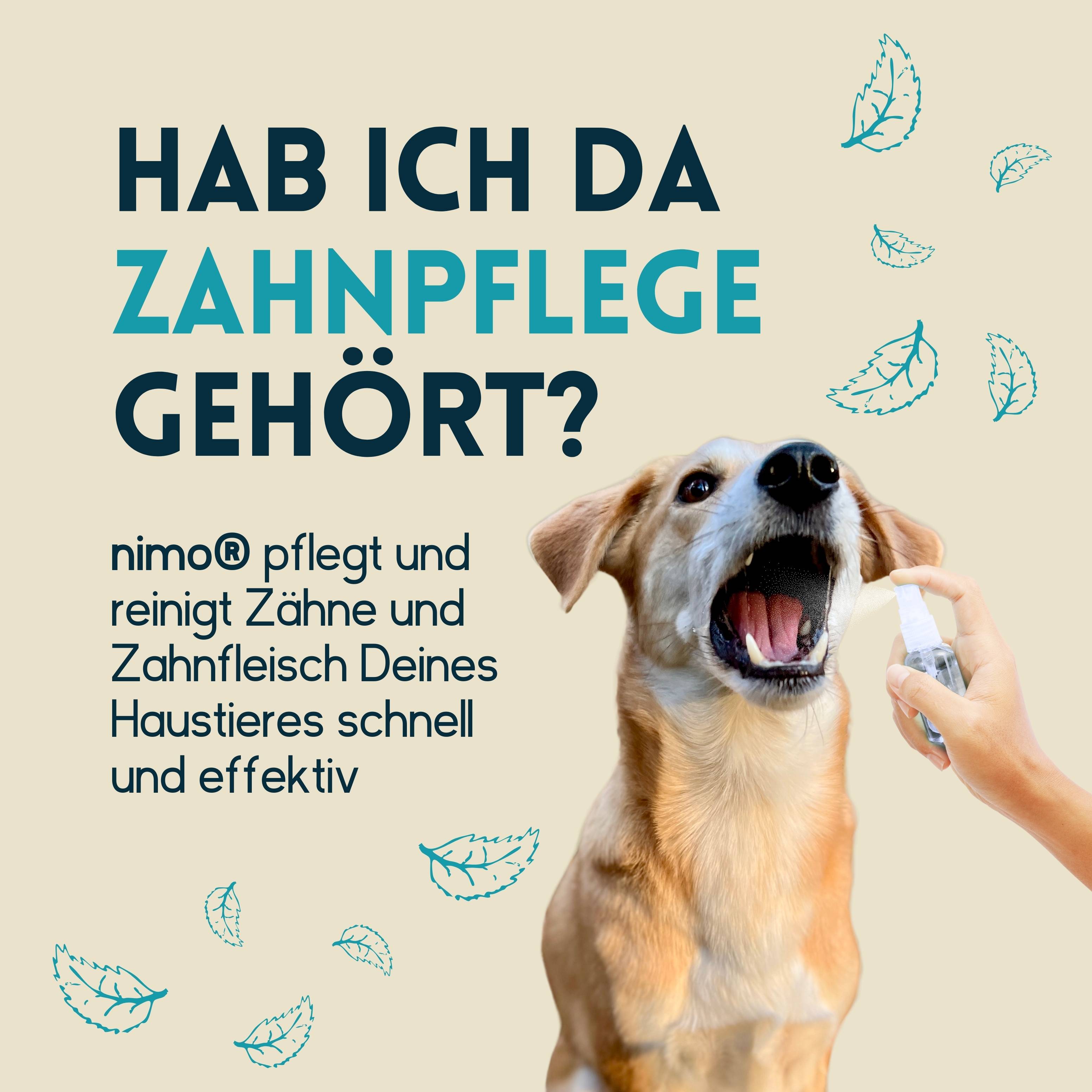 nimo Zahnpflegespray - Dentalspray für Hunde, Katzen & Haustiere mit Minze