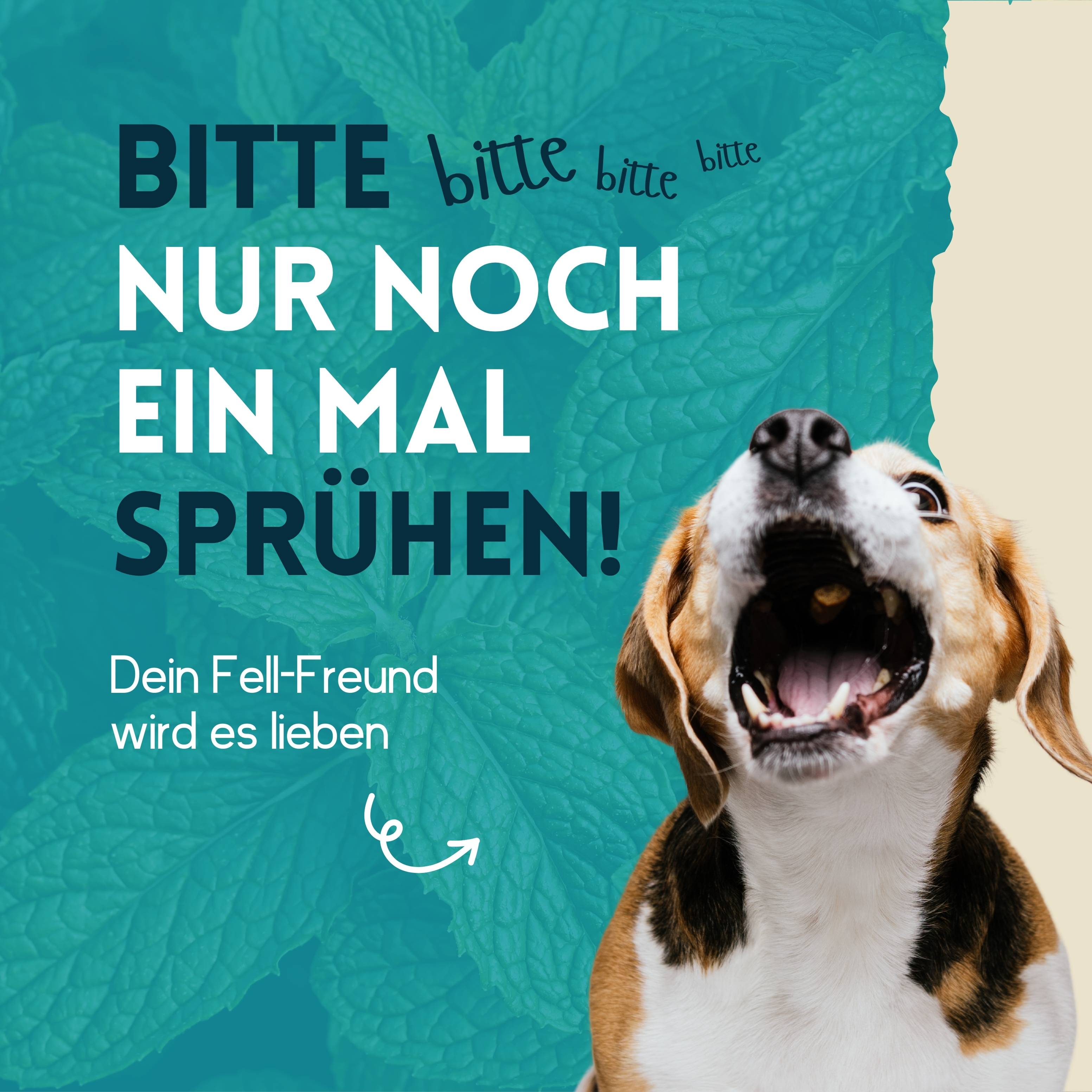 nimo Zahnpflegespray - Dentalspray für Hunde, Katzen & Haustiere mit Minze